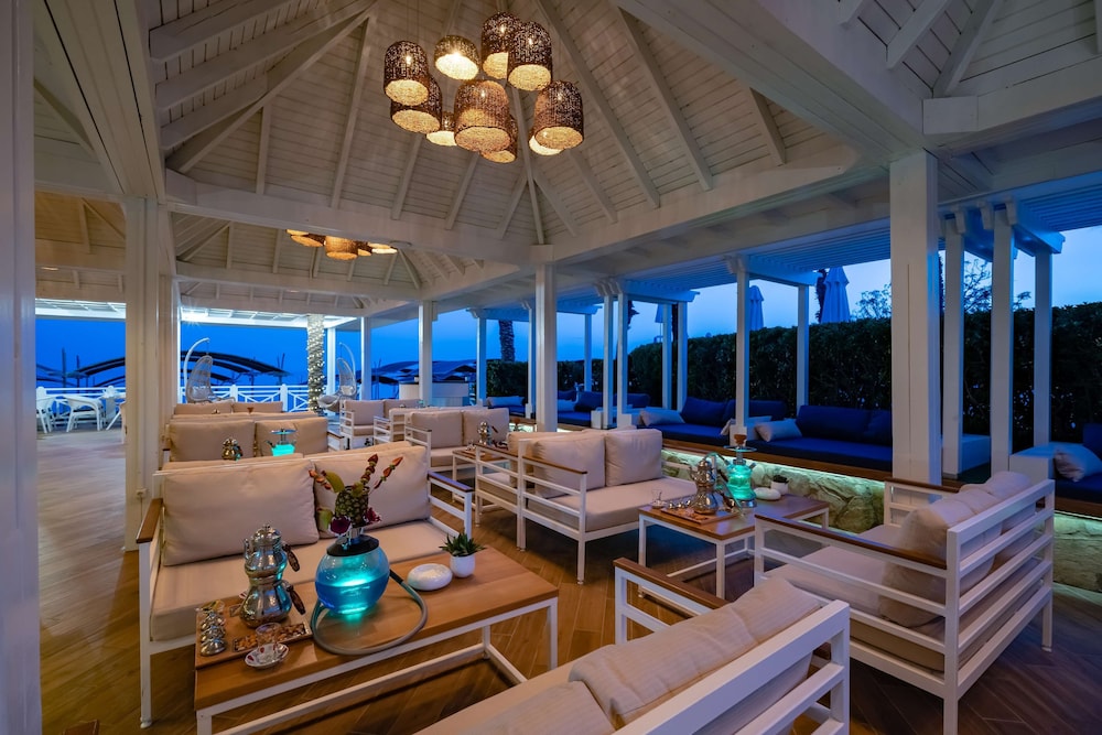 Papillon Belvil Rezervasyon