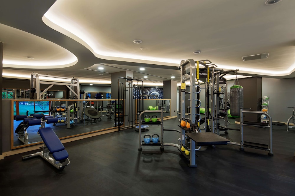 Papillon Belvil Rezervasyon