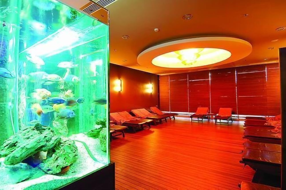 Alaiye Resort & Spa Hotel Rezervasyon