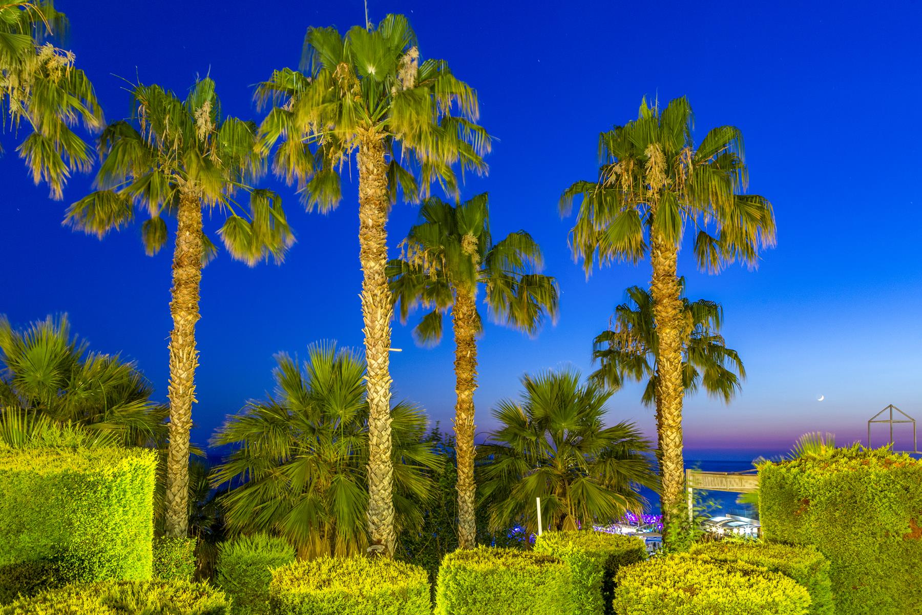 The Grand Blue Sky International Rezervasyon