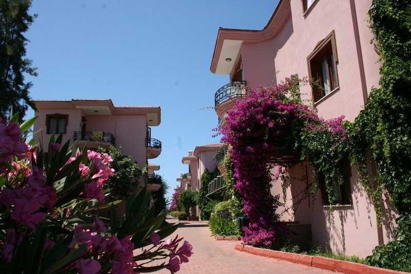 Aska Sun Queen Beach Hotel Rezervasyon