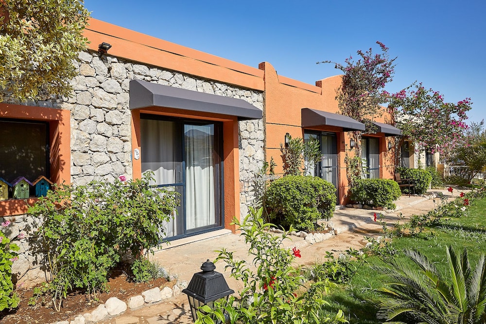 Fi Light Solto Boutique Beach Rezervasyon