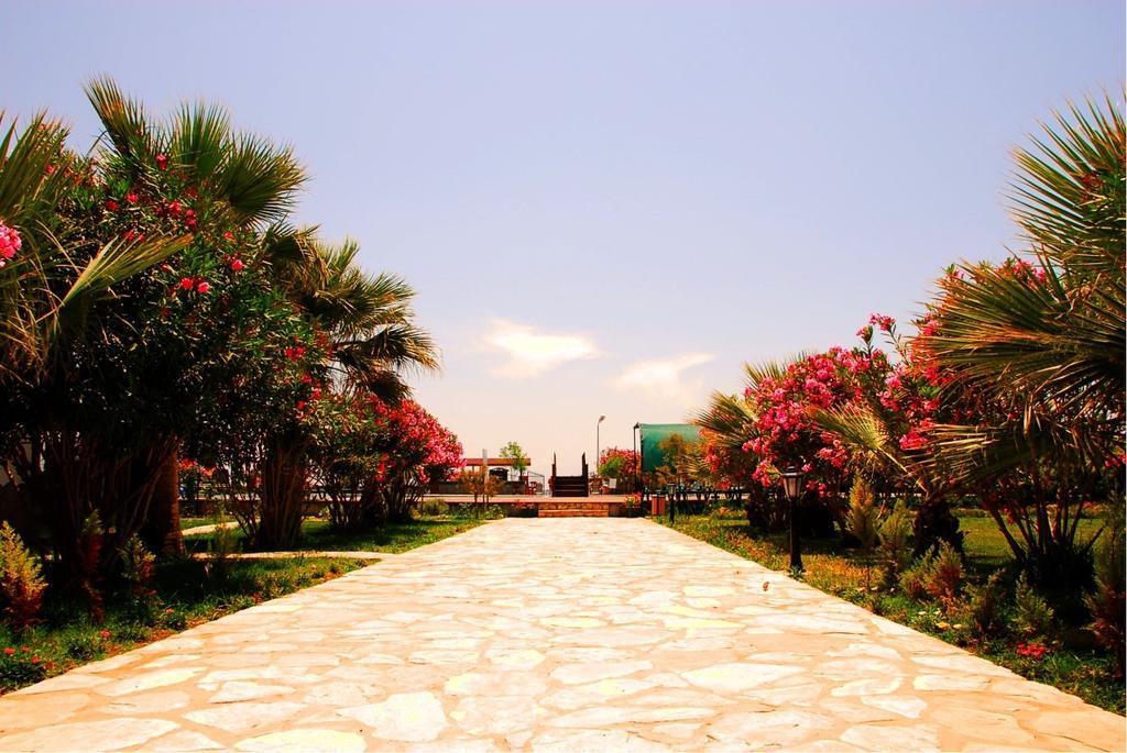 TUI BLUE Angora Beach Rezervasyon