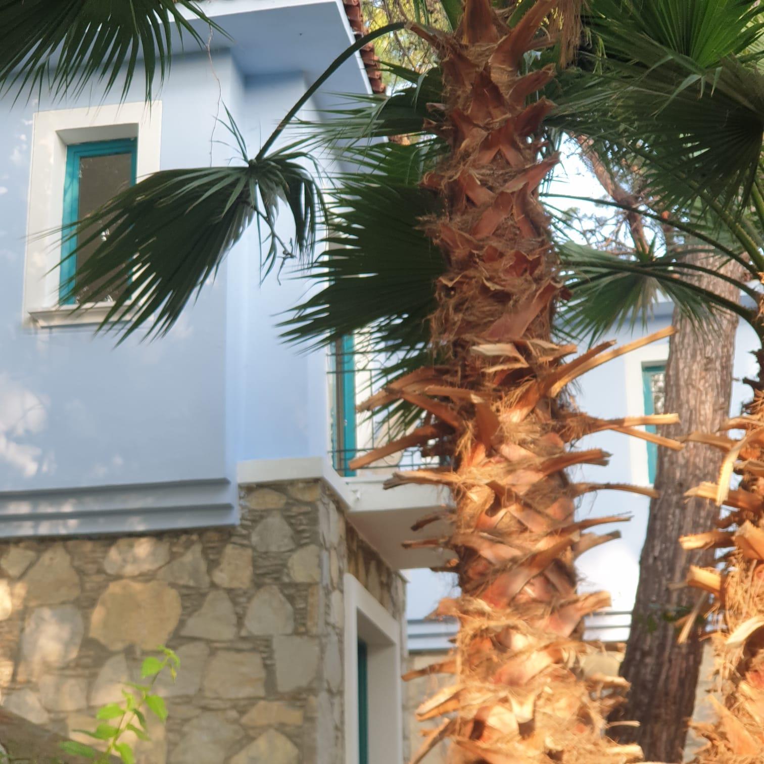 Club BellaMare Beach Rezervasyon