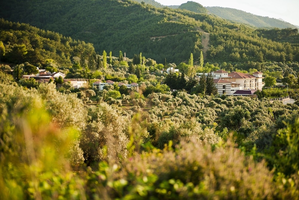 Natur-Med Rezervasyon