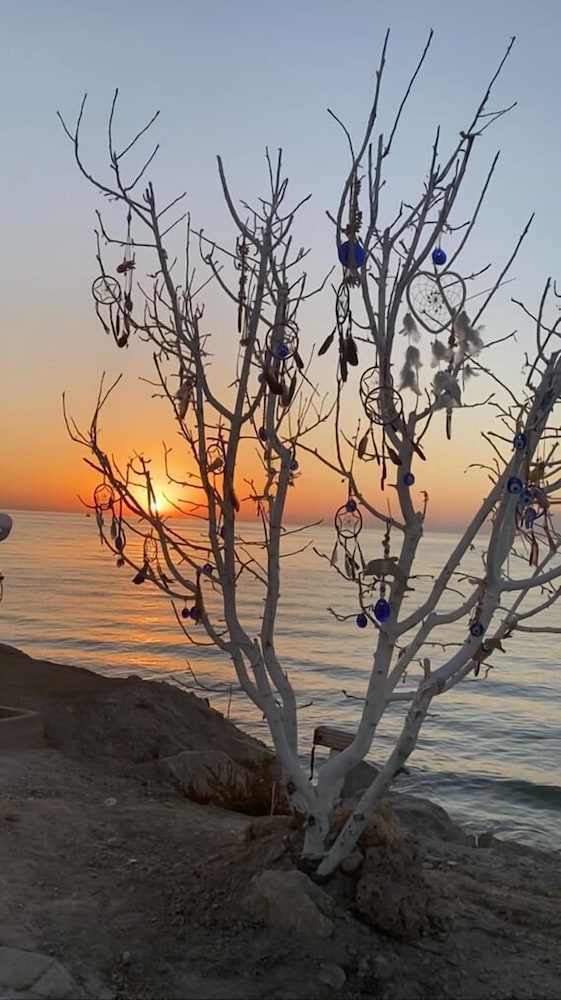 Van Sahmaran Hotel Rezervasyon