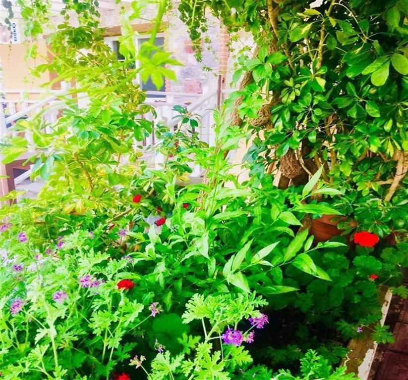 Sarmasik Hotel Rezervasyon