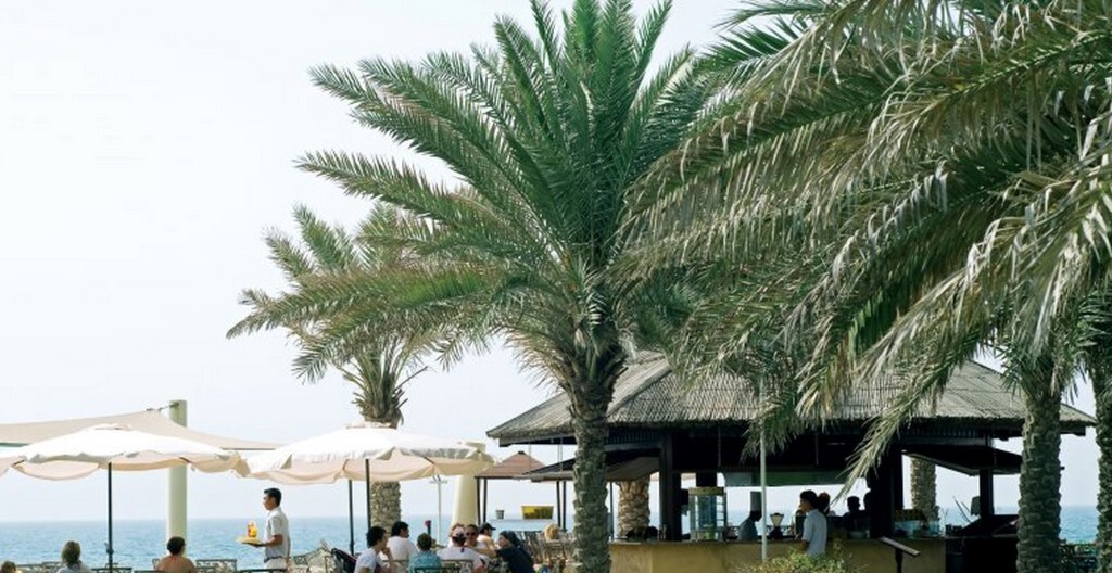 Coral Beach Resort Rezervasyon