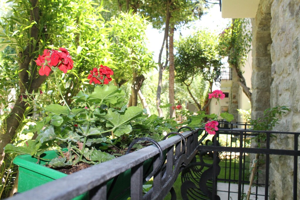 Bella Garden Rezervasyon