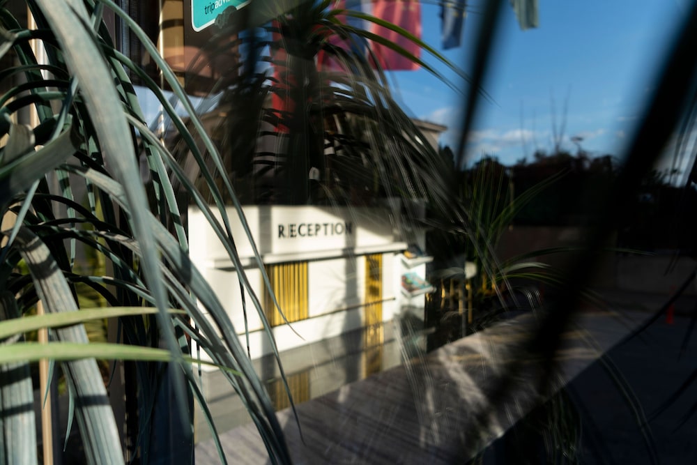 Sky Kamer Hotel Rezervasyon