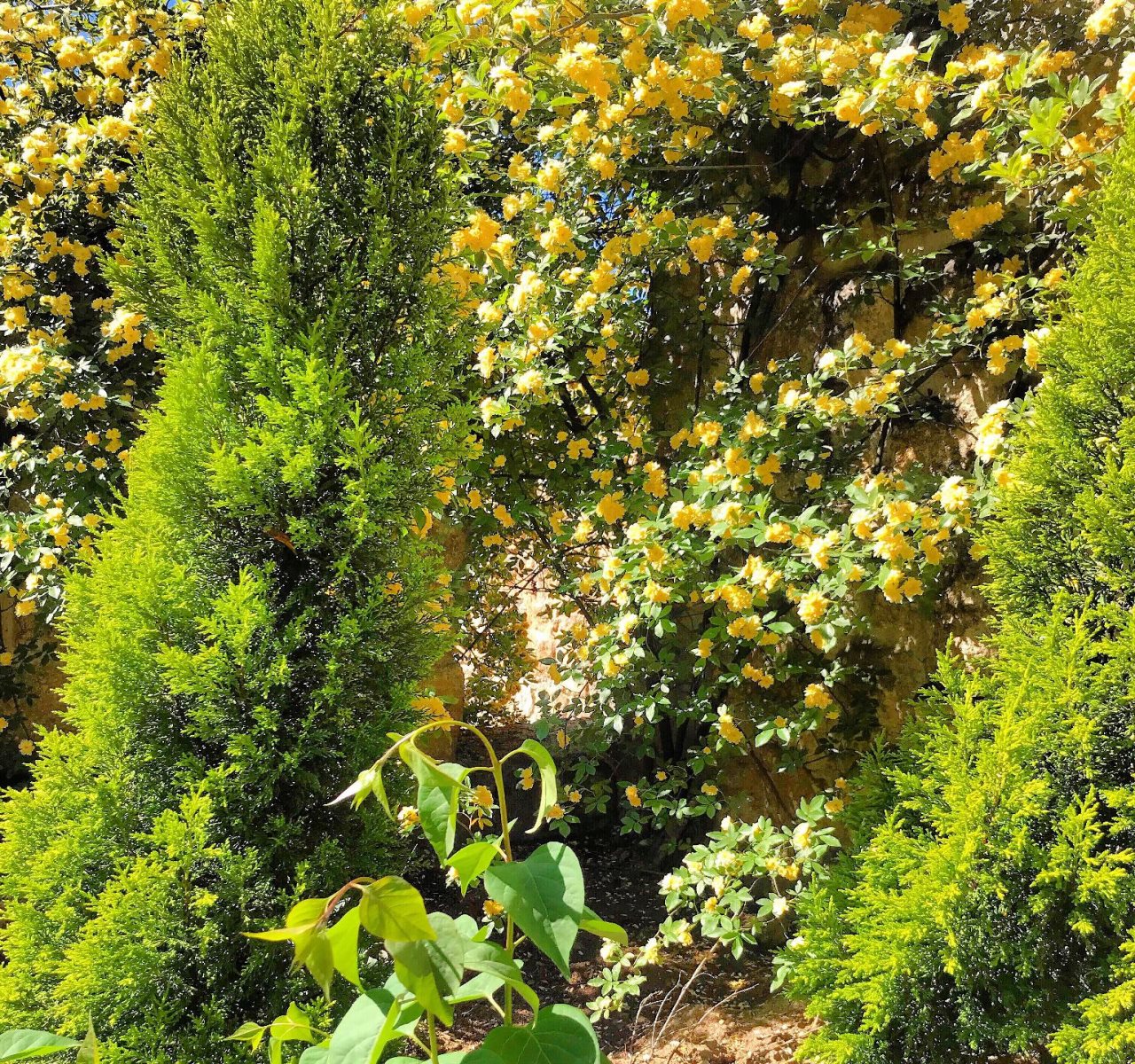 The Cappadocia Rezervasyon